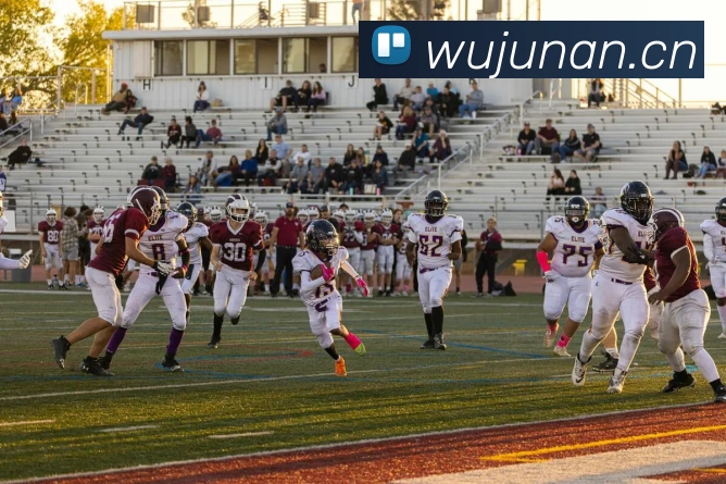 九游j9官方平台平台生态图